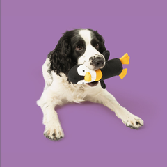 Collection image for: Toys