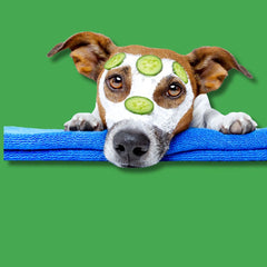 Collection image for: Health & Wellness