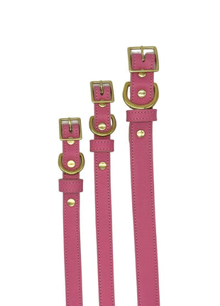 Plain Leather Dog Collar