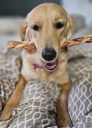 12 Inch Standard Braided Bully Stick