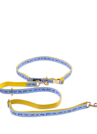 Hands Free Leash, Kate Spade Raining Cats and Dogs