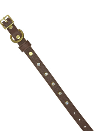 Plain Leather Dog Collar