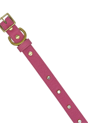 Plain Leather Dog Collar