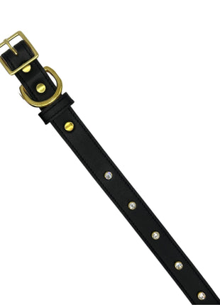 Plain Leather Dog Collar