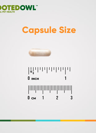 Joint & Muscle Health (Medium & Large Dogs) - Pup List