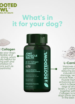 Joint & Muscle Health (Medium & Large Dogs) - Pup List