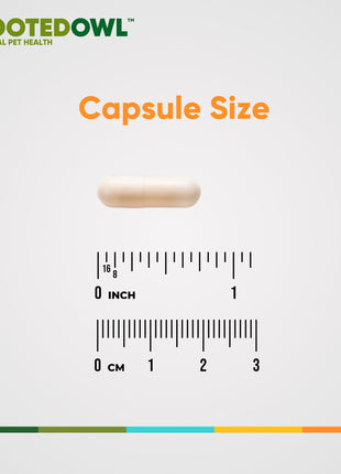 Cardio Support - Pup List