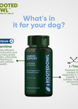 Cardio Support - Pup List