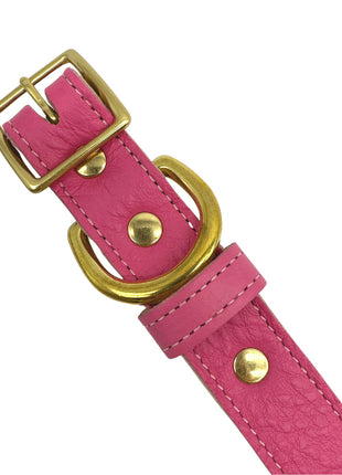 Plain Leather Dog Collar