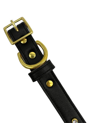Plain Leather Dog Collar