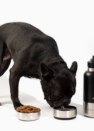 Pup Pak Dog Water Bottle with Detachable Bowls