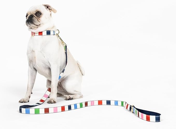 Kate Spade Adventure Stripe Small Leash