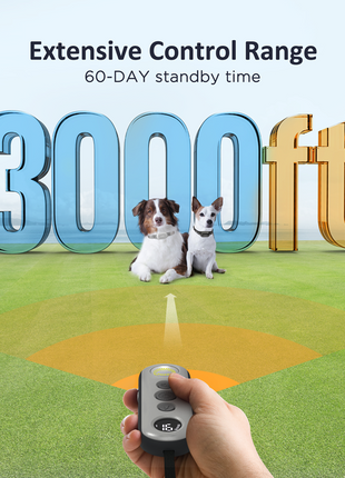 Patpet Premium Dog Collar