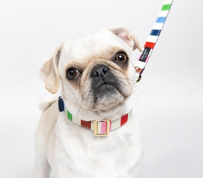 Kate Spade Adventure Stripe Small Leash