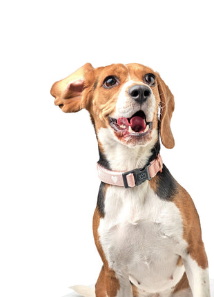 City Collar - Sweetheart