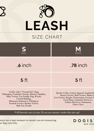 City Dog Leash - Blush