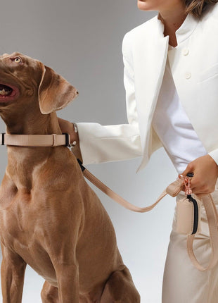 City Dog Leash - Dune