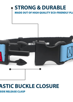 Plastic Clip Collar - Peanuts Snoopy and Woodstock Dog House Pose and Text Sky Blue