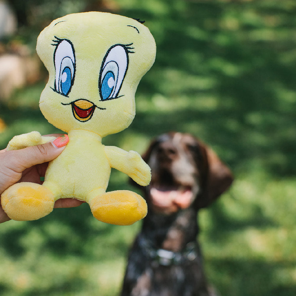 Dog Toy Squeaker Plush - Looney Tunes Tweety Bird Full Body