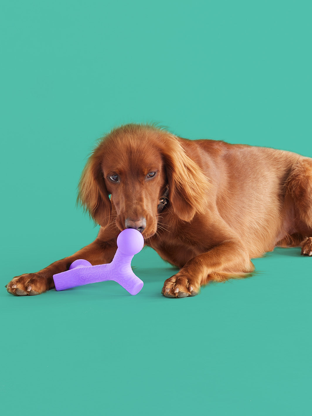 BallBone