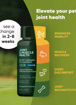 Joint & Muscle Health (Medium & Large Dogs)