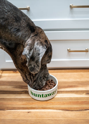 Carton - Huntaway Freeze-Dried Raw Venison (Retail)