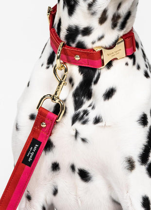 Kate Spade Red and Pink Colorblock Large Leash