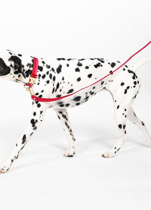 Kate Spade Red and Pink Colorblock Large Leash