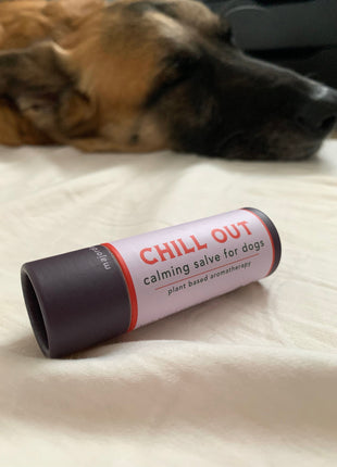 chill out calming salve
