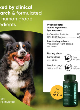 Joint & Muscle Health (Medium & Large Dogs) - Pup List