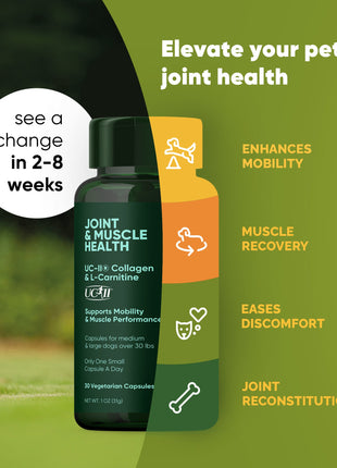 Joint & Muscle Health (Medium & Large Dogs) - Pup List