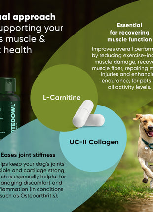 Joint & Muscle Health (Medium & Large Dogs) - Pup List