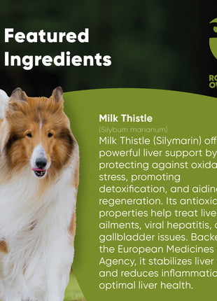 Liver Support - Pup List