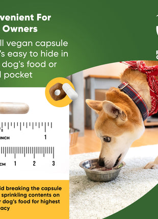 Urinary Support - Pup List