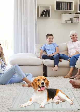 Dog Ice Mat Double-Sided Cooler Dog Mat Gentle Wear Resistant Pet Ice Pad