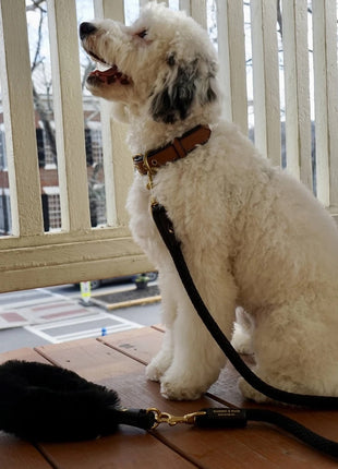 Bundle Shearling Fur Grip + Rope Leash for Dogs