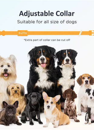 Patpet Premium Dog Collar