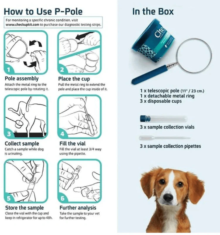 Urinary Tract Infection BioScreen & Culture for Dogs: At-Home Testing