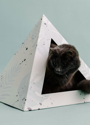 'Oasis' Cardboard Cat Pyramid