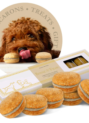 Dog Macarons (Box of 6)
