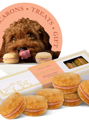 Dog Macarons (Box of 6)