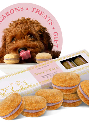 Dog Macarons (Box of 6)