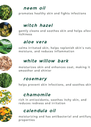 skin tonic + ear wash