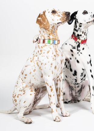 Kate Spade Adventure Stripe Collar