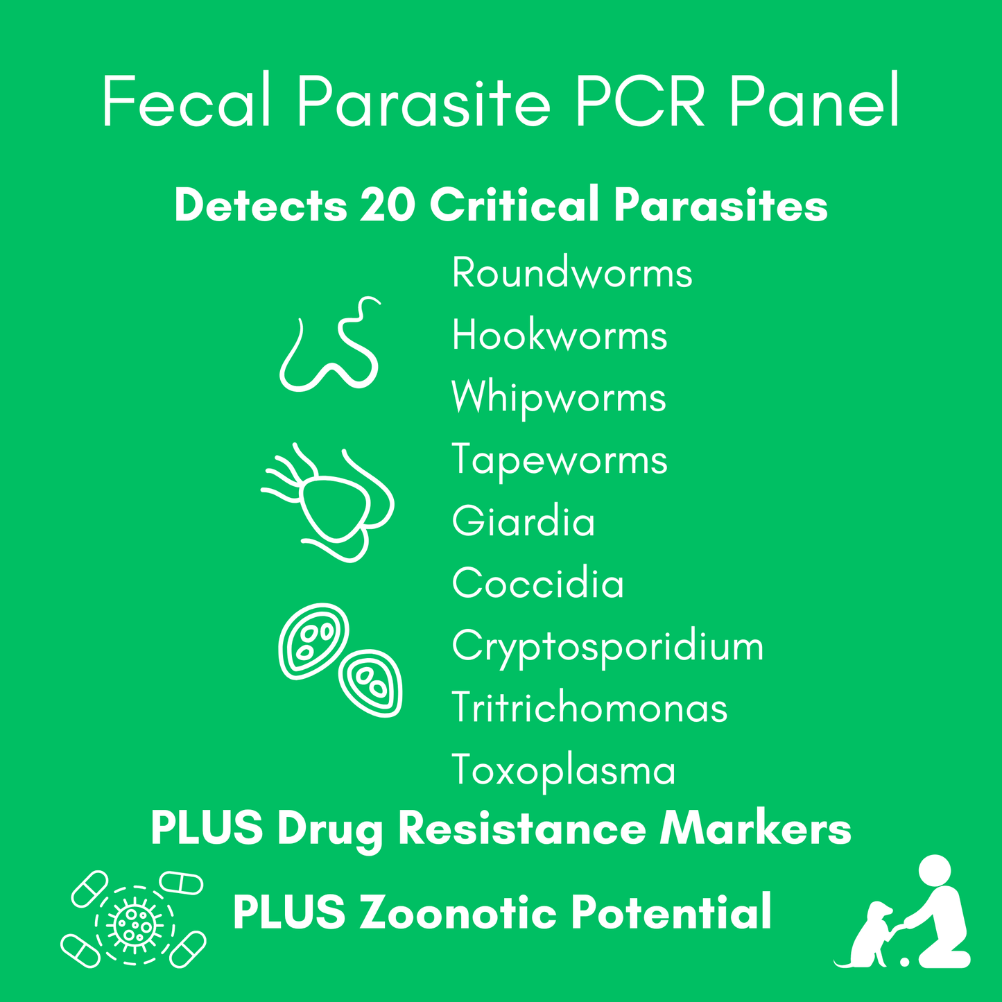 Parasite Detect+ for Dogs & Cats Mail-In Lab Test (PCR Test - Comprehensive): At-Home Testing
