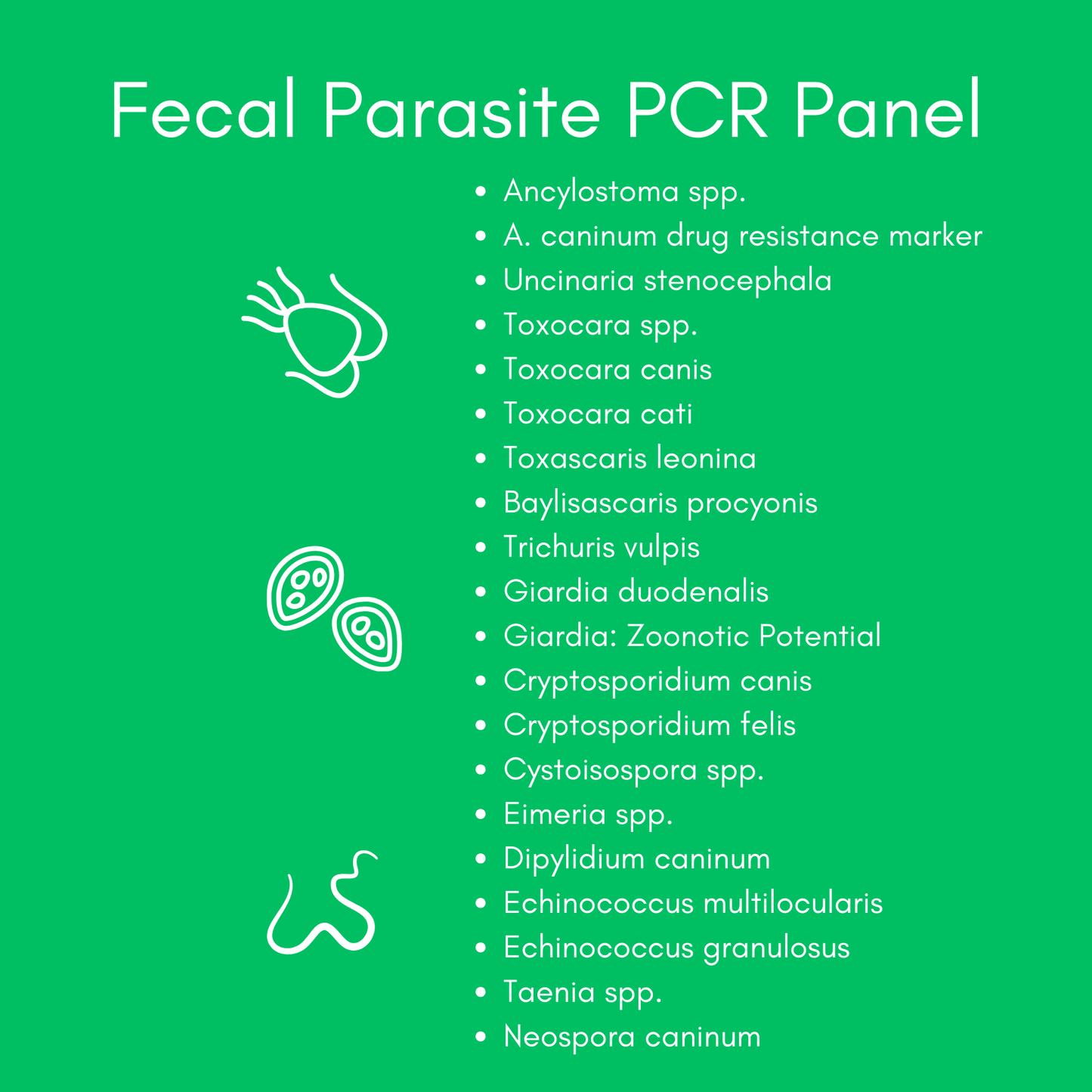 Parasite Detect+ for Dogs & Cats Mail-In Lab Test (PCR Test - Comprehensive): At-Home Testing