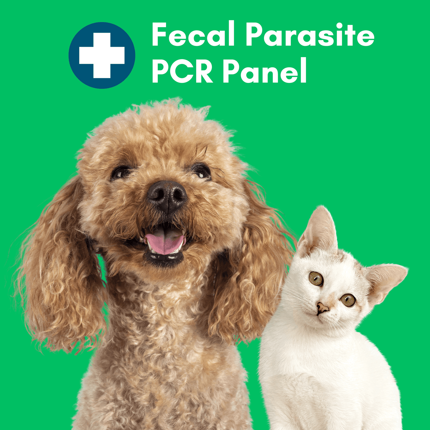 Parasite Detect+ for Dogs & Cats Mail-In Lab Test (PCR Test - Comprehensive): At-Home Testing