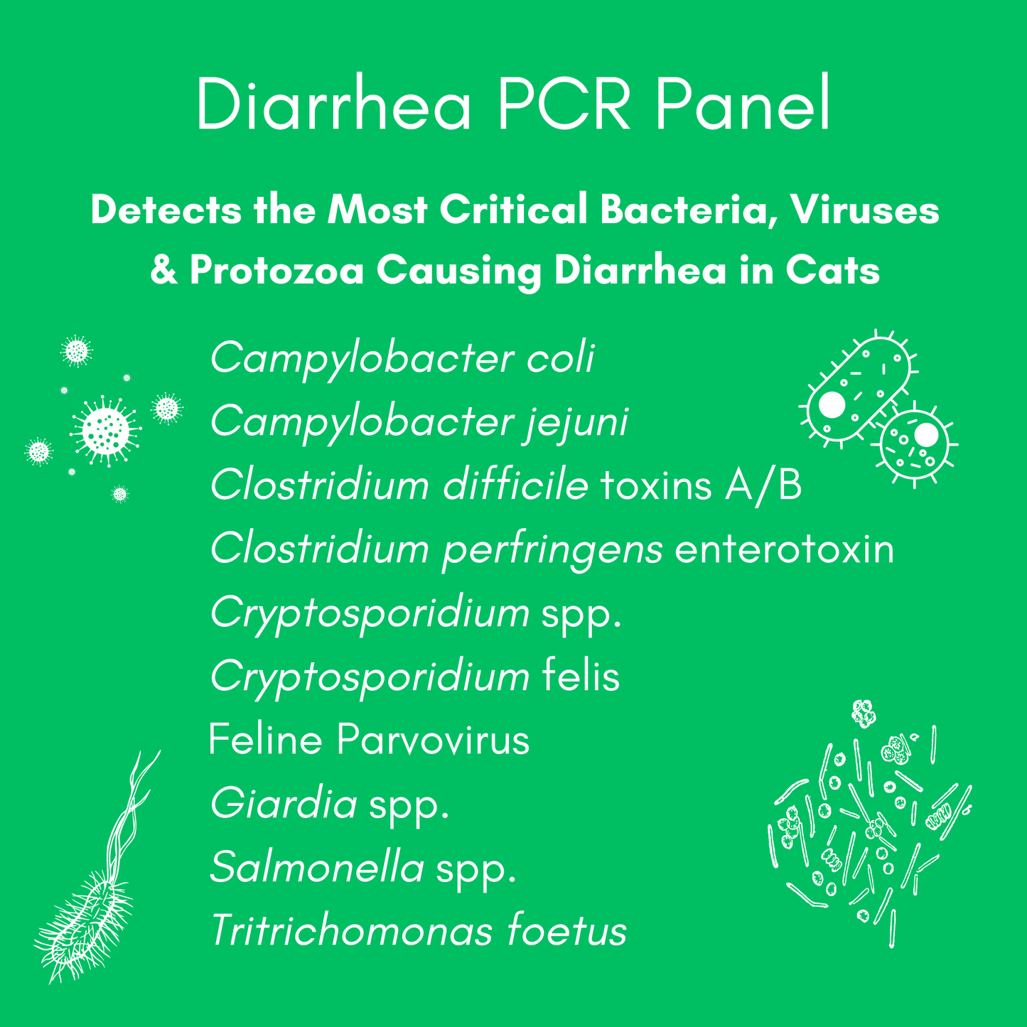 Diarrhea Check Mail-In Test for Cats (PCR): At-Home Testing