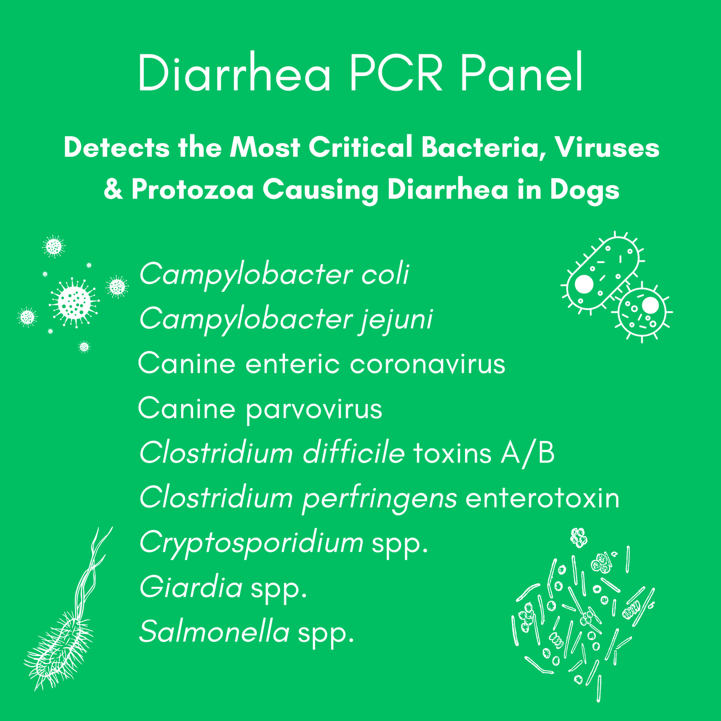 Diarrhea Check Mail-In Test for Dogs (PCR): At-Home Testing