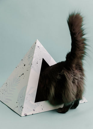 'Oasis' Cardboard Cat Pyramid